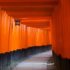 The charm of Fushimi Inari Taisha Shrine, the attraction of Kyoto "Fushimi Inari-taisha Shrine", and basic information